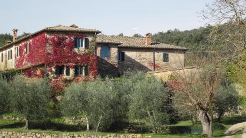 Siena Apartment | La Locaia