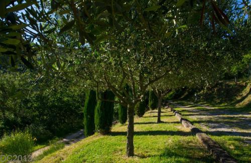 Volpaia House | La Locanda Volpaia