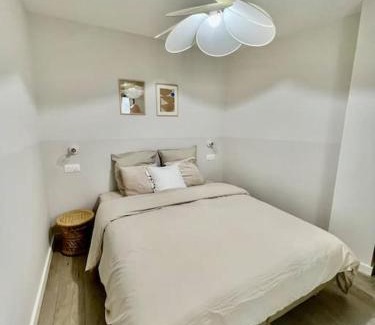 Anse Apartment | La Madeleine, T2 Cœur Ville