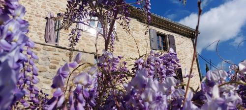Saint-Pantaleon-les-Vignes Bed & Breakfast | La maison WISTERIA