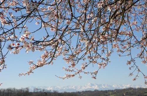 Bazugues Bed & Breakfast | La Maison de Bazugues