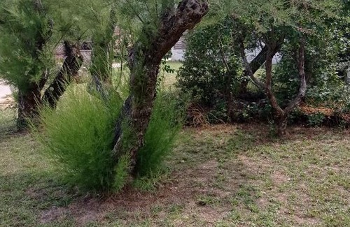 Nans-les-Pins House | LA MAISON DE PAPOU La Vigne A NANS LES PINS 83860