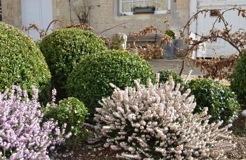 Falaise Bed & Breakfast | La Maison Des Buis