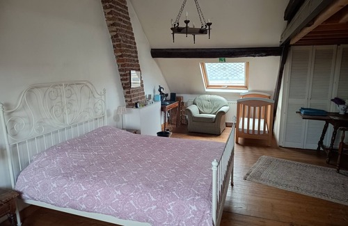 Kortenberg House | La maison des chiens