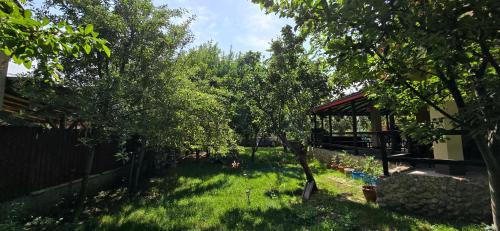 Agigea House | La mama Miha
