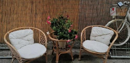 Belvedere Marittimo Bed & Breakfast | La Marinella