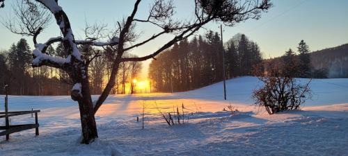 Provence Bed & Breakfast | La Montagne devant