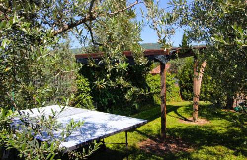 Polvano House | La Montanina