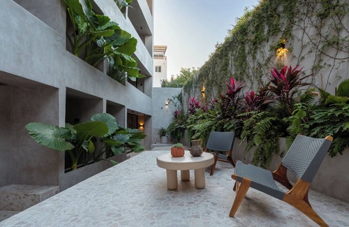 Hidalgo Apartment | La Olita Garden House