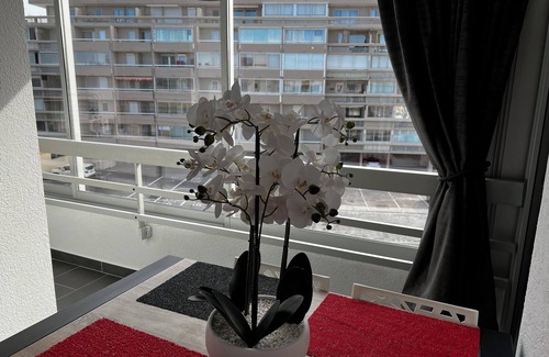 La Cote Radieuse Apartment | La palmeraie apartment, two minutes from the sea, Mediterranean beaches