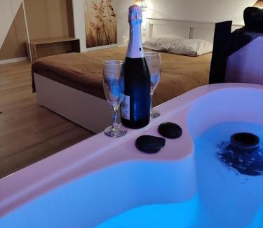 Sainte-Gemmes-sur-Loire Apartment | La Parenthèse Gemmoise avec jacuzzi privatif