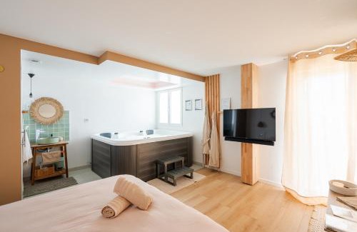 Sainte-Gemmes-sur-Loire Apartment | La Parenthèse Gemmoise avec jacuzzi privatif