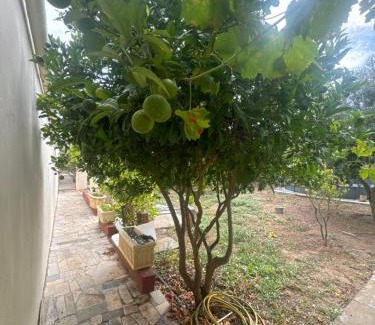 Beni Atta House | La petite ferme