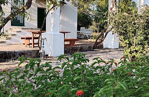 Ugento House | LA PILA MASSERIA SALENTINA WITH POOL AND PRIVATE GARDEN YES ANIMALS