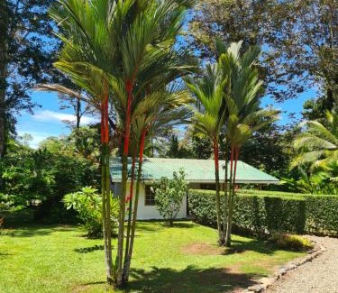 Cahuita Cabin | La Rana De Cahuita