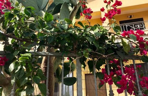 Drapia Bed & Breakfast | La Rinella