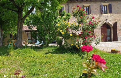 Nonantola Bed & Breakfast | La Rosa Selvatica