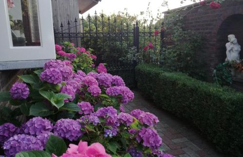 Overpelt Bed & Breakfast | La Rose