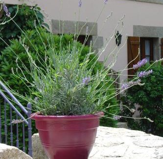 Saint-Nicolas des Eaux House | La Sabotiere