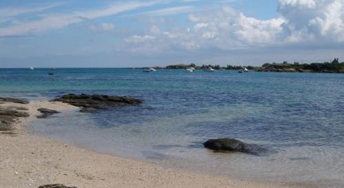 Barfleur House | La salicorne