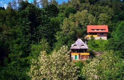 Bertea Cottage | La sat - Radu Dragu