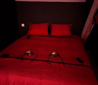 Pont-de-Veyle Apartment | La secret room