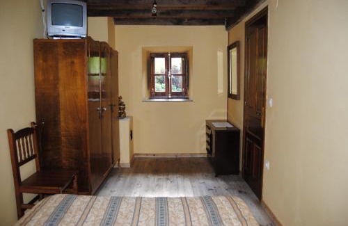 Ponga House | La Tanda