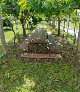 San Giuliano Terme Apartment | La tenuta di Eva