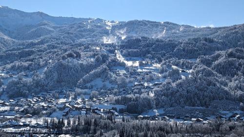 Verchaix Ski Chalet | La Terrasse de Verchaix