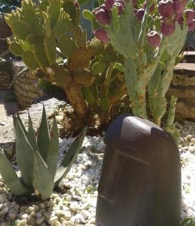 La Jarne Bed & Breakfast | La Touline