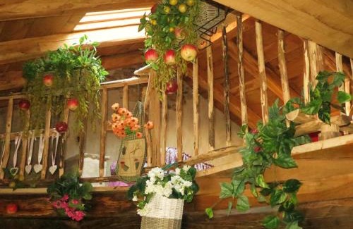 Cavour Bed & Breakfast | La Via'