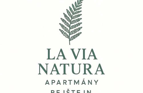 Rejstejn Apartment | La Via Natura Apartmány Rejštejn