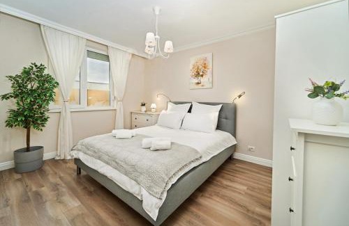 Dumbravita Apartment | La Vie en Rose Chic French-Style Apartment with Parking in Timisoara