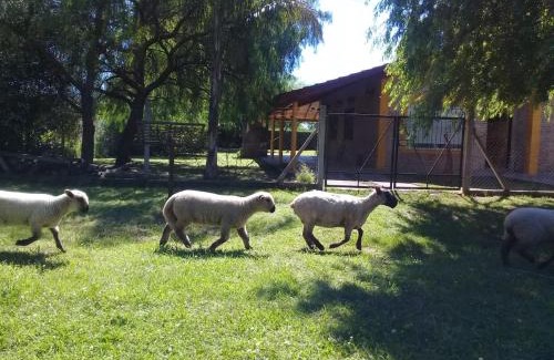 Villars House | La Villarense