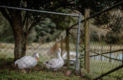 Laceys Creek House | Lacey's Creek Homestead
