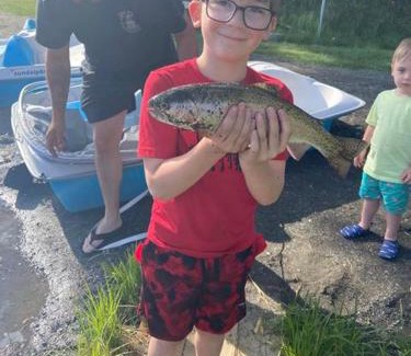 Stewartstown Other | Ladd Pond Cabins and Campground, LLC