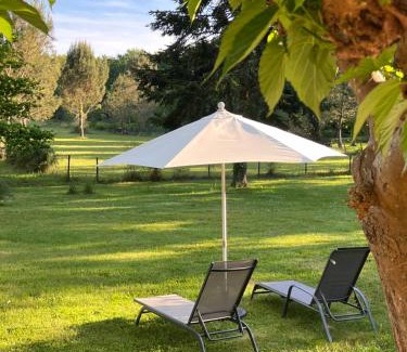 Seignosse Bed & Breakfast | Laguillotte