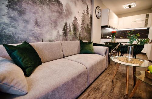 Zarzecze Apartment | Laguna Beskidów Resort - Apartament Forest