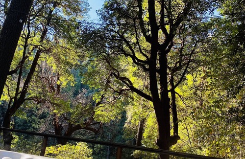 Georgetown Cabin | Lagunita- lakeside cabin w/2 bunkhouses & HOT TUB! $300. Per night for all 3!