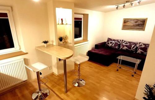 Liberty Avenue Apartment | Laisves Apartment Kaunas