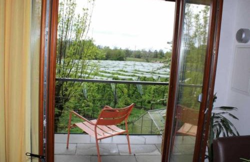 Tettnang House | Lake Constance Garden Comfortable holiday residence