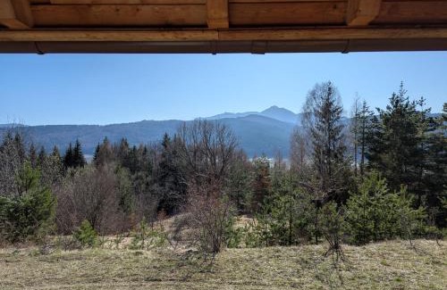 Jibert Ski Chalet | Lake House Iasmina