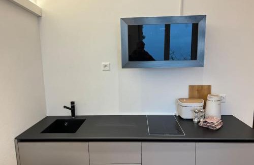 Brissago Apartment | Lake Music