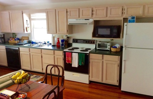 Saluda Cottage | Lake Summit Nest, peaceful retreat with dock & boathouse on cool, clean lake