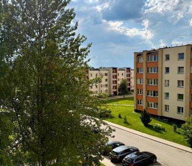 Zarasai Apartment | Lake Town apartments