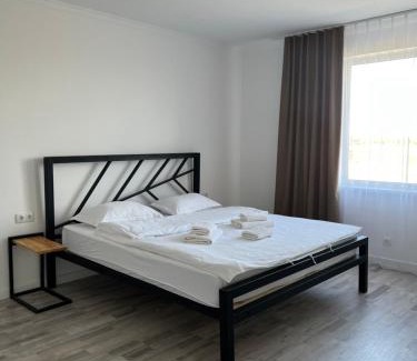 Borovoe Apartment | Lake View
