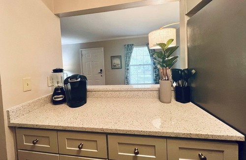 Auburn Condo | Lakefront, Incredible Condo by College St-King Bed, Full Kitchen, Full Bathroom