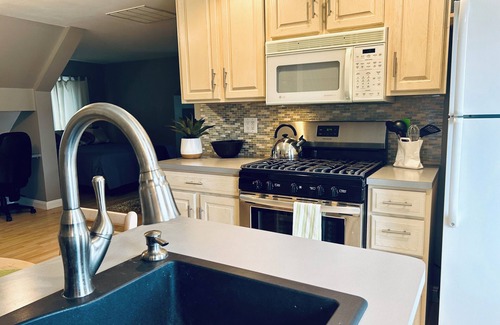 Ida Apartment | Lakeside Getaway Studio In Luna Pier!