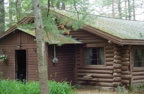 Gaylord Cabin | Lakeside Log Home, fireplace, snowmobile trails, parking, skiing, dog-friendlyn
