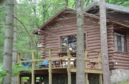 Gaylord Cabin | Lakeside Log Home, fireplace, snowmobile trails, parking, skiing, dog-friendlyn